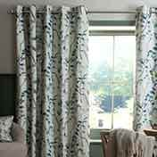 Curtains & Blinds